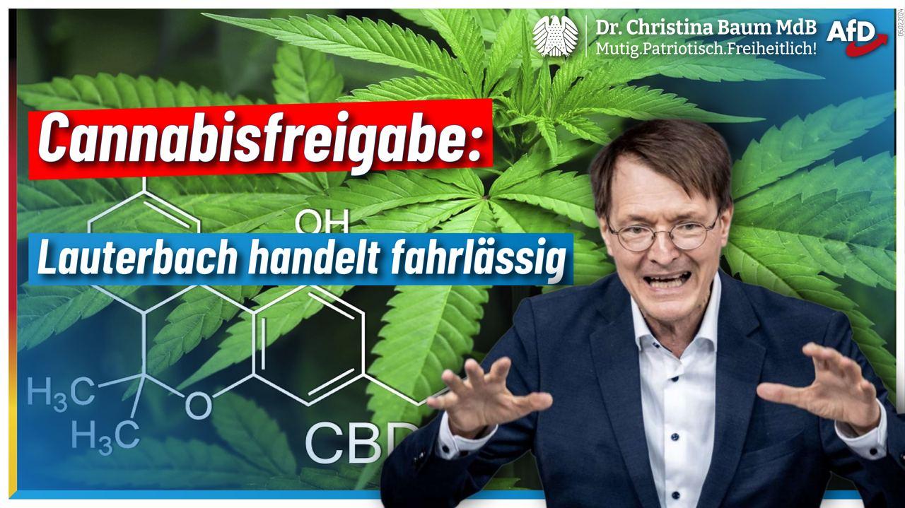 Cannabis - Lauterbach handelt ...